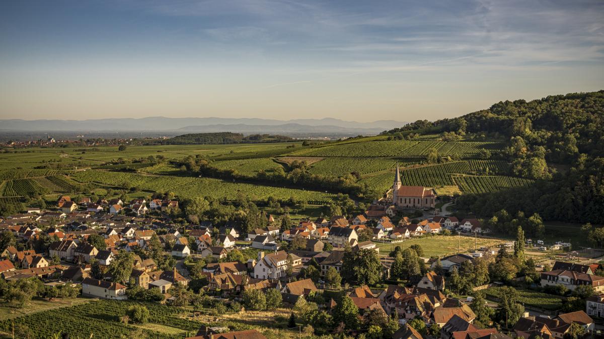 Ensemble, nous construisons un avenir décarboné pour  l'Alsace