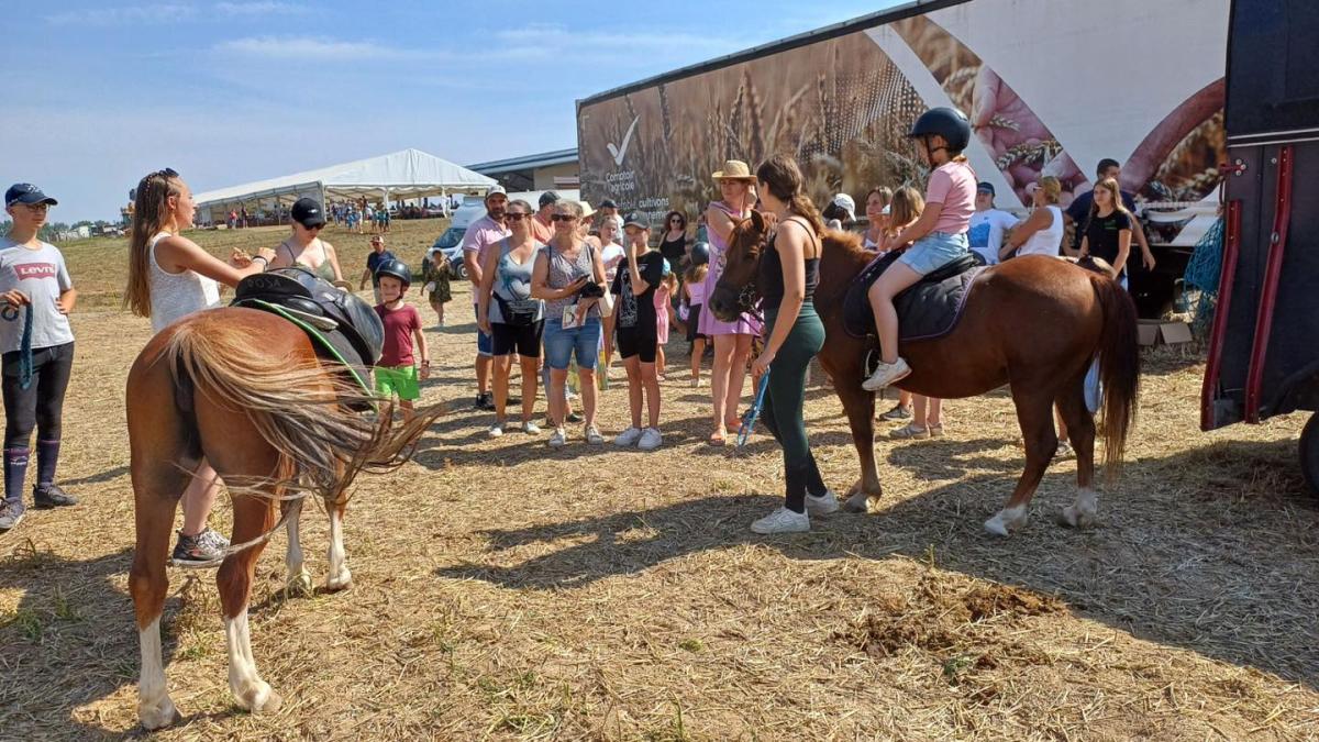 Fêté des agriculteurs 