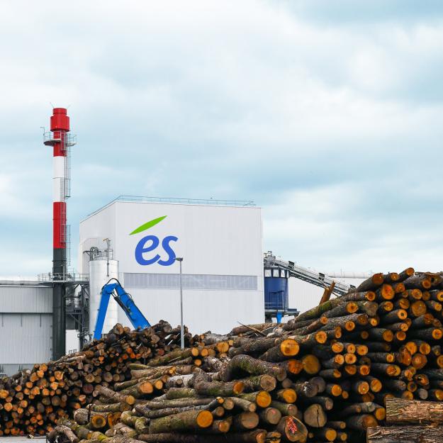 Centrale biomasse strasbourg