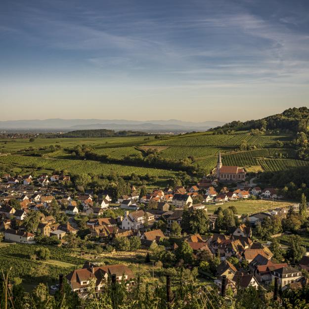 Ensemble, nous construisons un avenir décarboné pour  l'Alsace