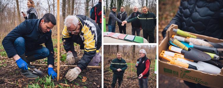 Reforestaction Gambsheim