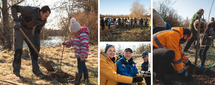 Reforestaction Holtzheim