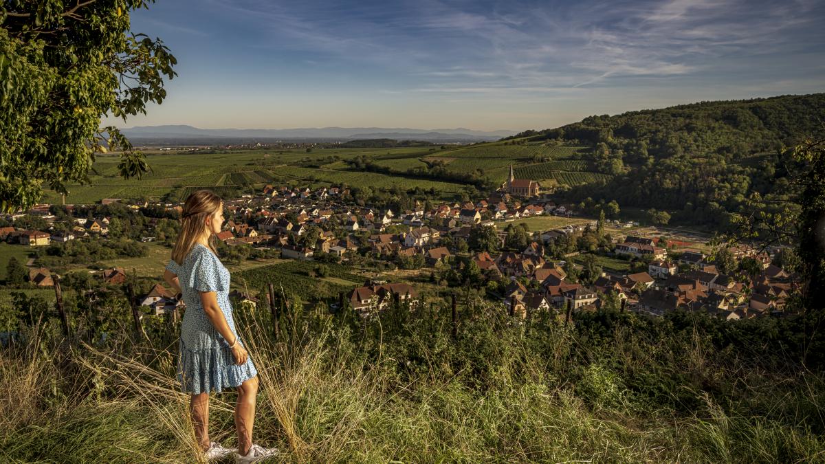 Paysage alsace
