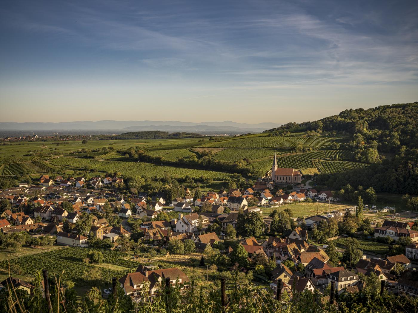 Ensemble, nous construisons un avenir décarboné pour l'Alsace