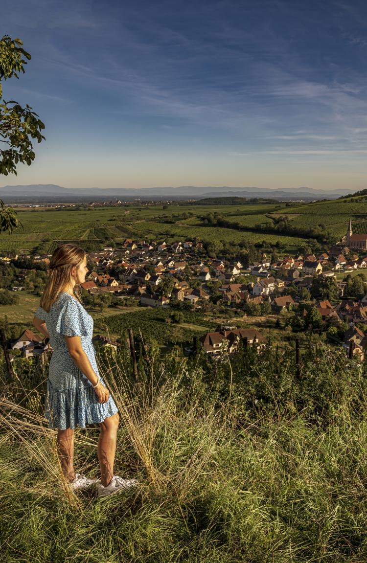 Paysage Alsace Pauline